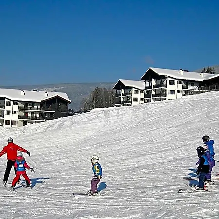 酒店 Alpin Solsiden 4*