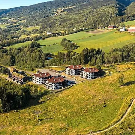 酒店 Alpin Solsiden 利勒哈默尔